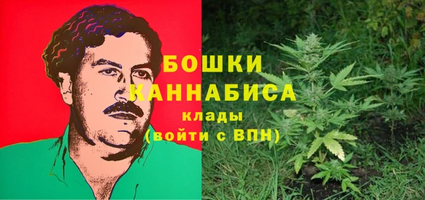 шишки Баксан