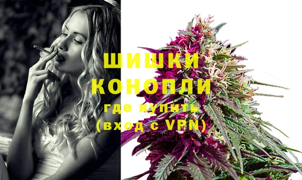 шишки Баксан